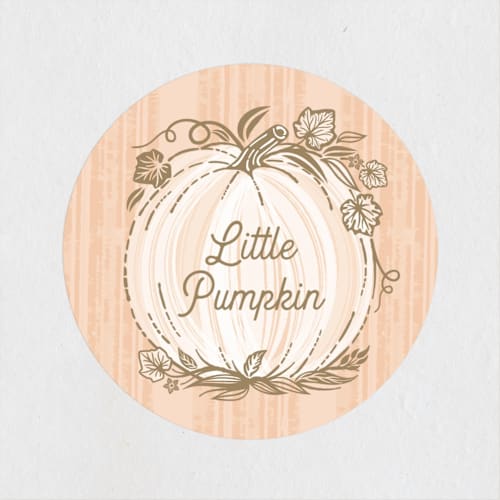 This is a peach kids stickers with standard by Paper Sun Studio called little pumpkin printing on uncoated sticker paper in sticker