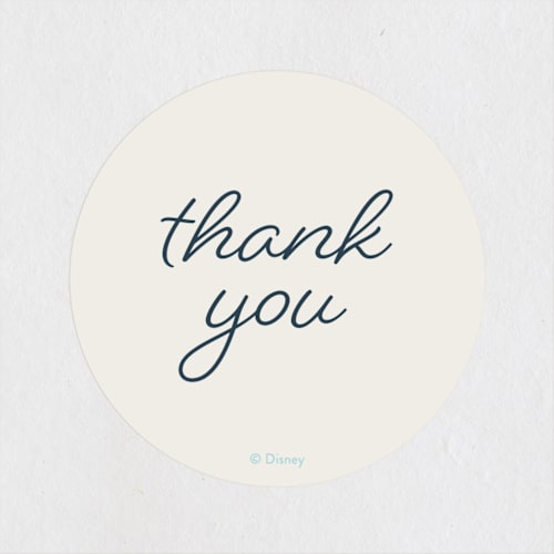 This is a sky kids stickers with standard by Megan Cash called disney cinderella princess dress printing on uncoated sticker paper in sticker