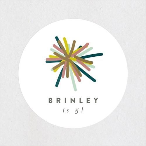 This is a candy kids stickers with standard by Brianne Larsen called party hat printing on uncoated sticker paper in sticker