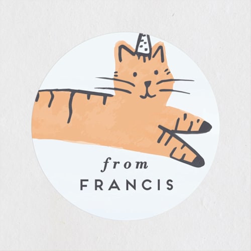 This is a apricot kids stickers with standard by Everett Paper Goods called pawty cat printing on uncoated sticker paper in sticker