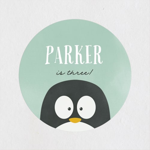 This is a mint kids stickers with standard by Brianne Larsen called penguin party printing on uncoated sticker paper in sticker
