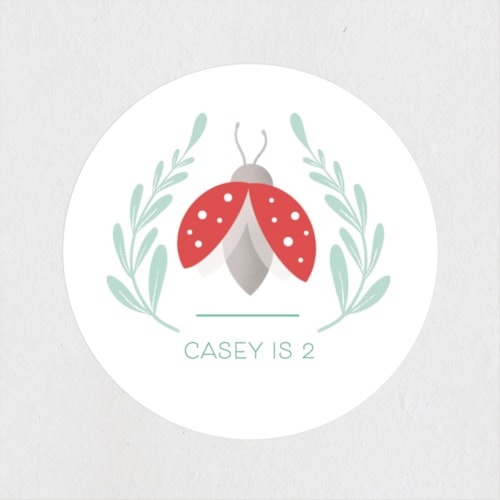 This is a ladybug kids stickers with standard by Gia Graham called little love bug printing on uncoated sticker paper in sticker