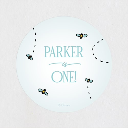 This is a sky kids stickers with standard by Pixel and Hank called disney's pooh forest scene printing on uncoated sticker paper in sticker