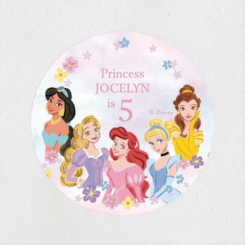 This is a cotton candy kids stickers with standard by Cass Loh called disney's princess portrait printing on uncoated sticker paper in sticker