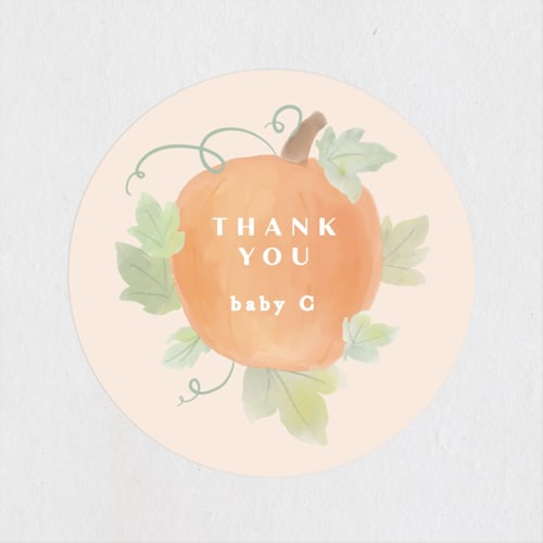 This is a blush baby shower favor labels with standard by Creo Study called lil pumpkin printing on uncoated sticker paper in sticker