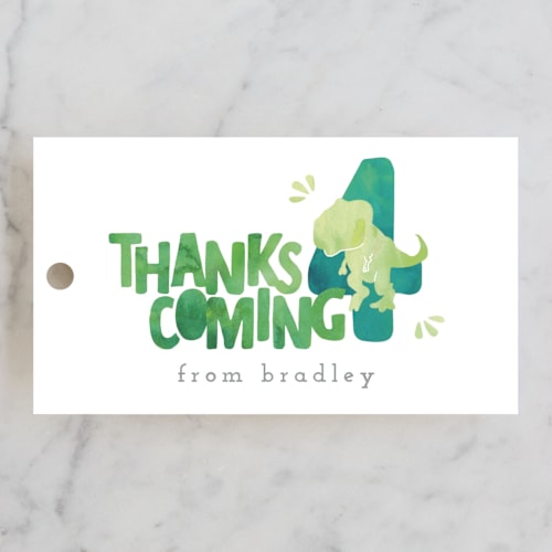 This is a lime kids gift tags with standard by Cindy Denning called dino party printing on signature in tag