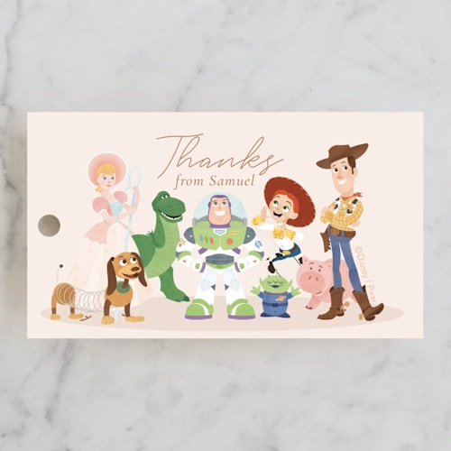 This is a taupe kids gift tags with standard by Sabrin Deirani called disney's and pixar toy story friends printing on signature in tag