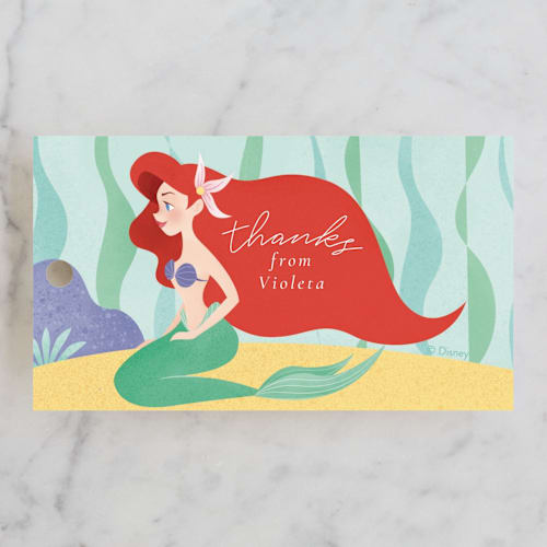 This is a aquamarine kids gift tags with standard by Sabrin Deirani called disney's ariel under the sea printing on signature in tag