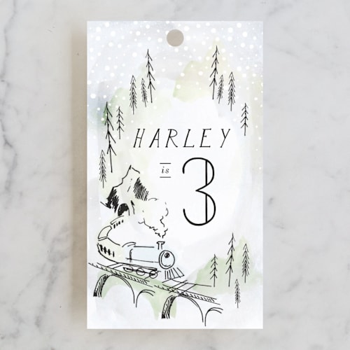 This is a cinders kids gift tags with standard by Baumbirdy called winter train printing on signature in tag