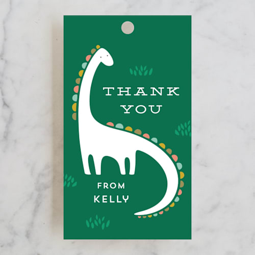 This is a palm kids gift tags with standard by Laura Hankins called dinotastic printing on signature in tag