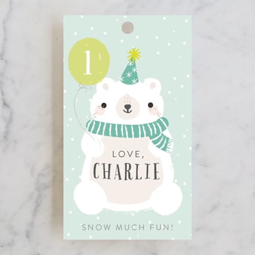 This is a aqua green kids gift tags with standard by Itsy Belle Studio called polar party printing on signature in tag