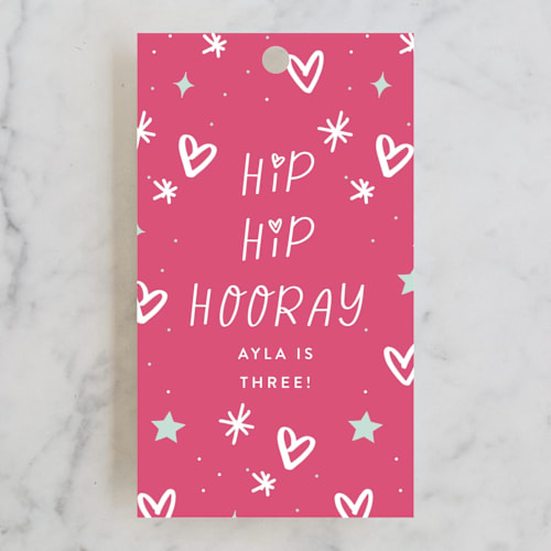 This is a icing kids gift tags with standard by Ashley Rosenbaum called birthday doodle printing on signature in tag