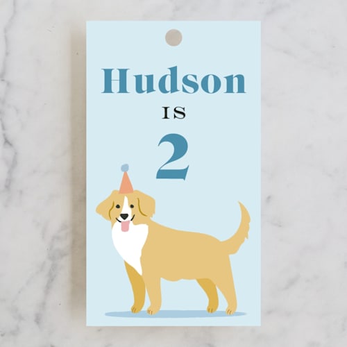 This is a sky kids gift tags with standard by Karidy Walker called pawty time printing on signature in tag