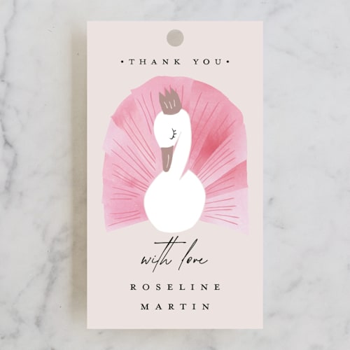 This is a candy kids gift tags with standard by Kanika Mathur called our swan princess printing on signature in tag