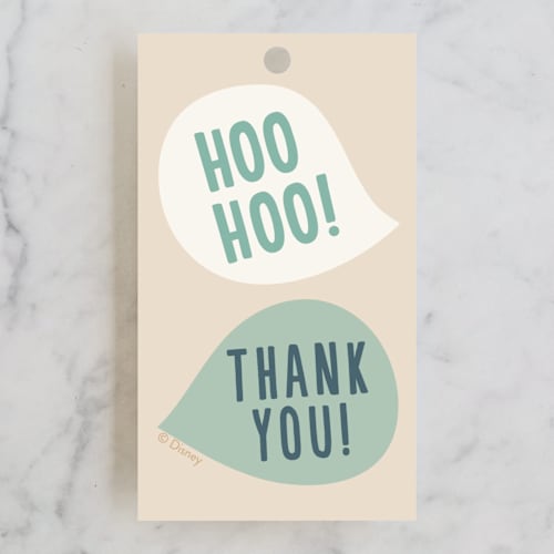 This is a birch kids gift tags with standard by Erica Krystek called disney's frozen big birthday blowout printing on signature in tag
