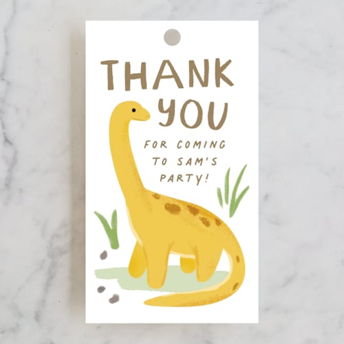 This is a marshmallow kids gift tags with standard by Everett Paper Goods called dino zone printing on signature in tag