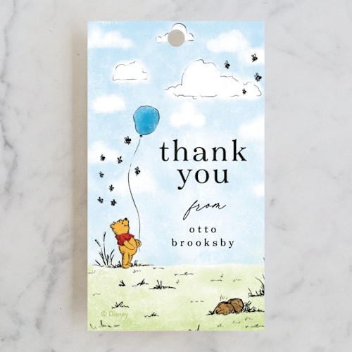 This is a hundred acre wood kids gift tags with standard by Erin L. Wilson called disney's winnie the pooh many birthday adventures printing on signature in tag
