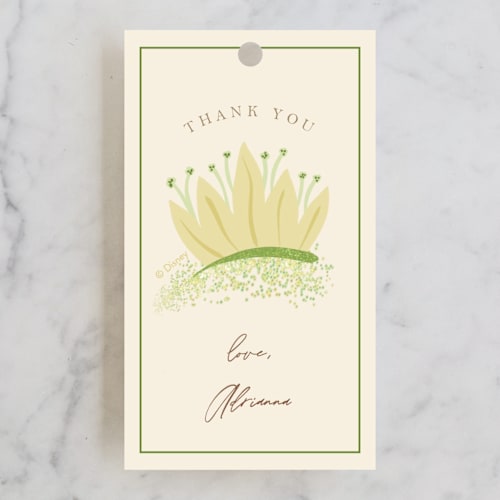 This is a southern cream kids gift tags with standard by Kate Ross called disney princess tiana's dress printing on signature in tag