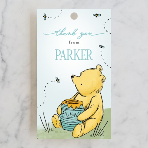 This is a sky kids gift tags with standard by Pixel and Hank called disney's pooh forest scene printing on signature in tag