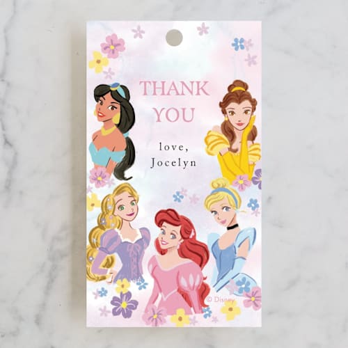 This is a cotton candy kids gift tags with standard by Cass Loh called disney's princess portrait printing on signature in tag