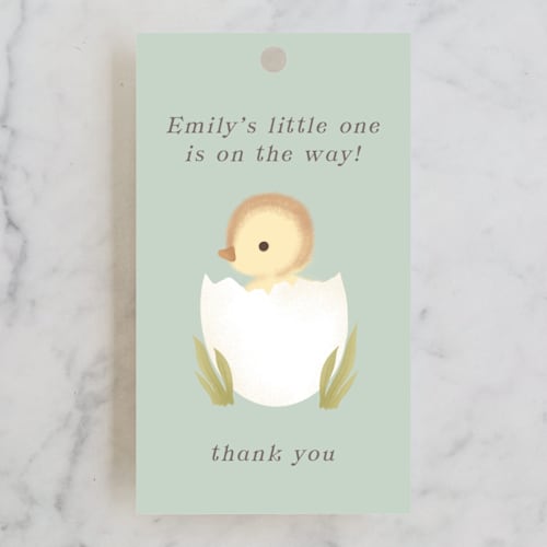 This is a sage baby shower favor tags with standard by Itsy Belle Studio called lil duck printing on signature in tag