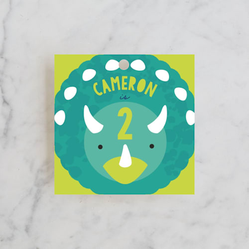 This is a teal kids gift tags with standard by Itsy Belle Studio called tri birthday printing on signature in tag