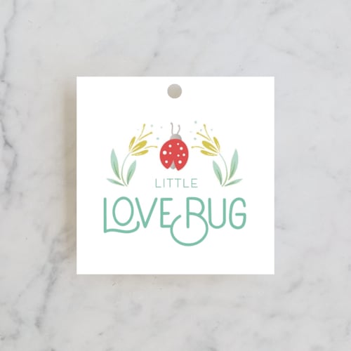 This is a ladybug kids gift tags with standard by Gia Graham called little love bug printing on signature in tag