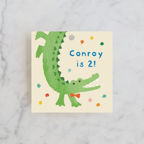This is a sugar cookie kids gift tags with standard by Jennifer Wick called confetti crew printing on signature in tag
