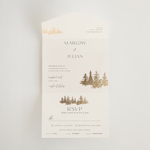 This is a fallen snow all in one wedding invitations with foil pressed by Robin Ott called vista printing on value cover in all-in-one