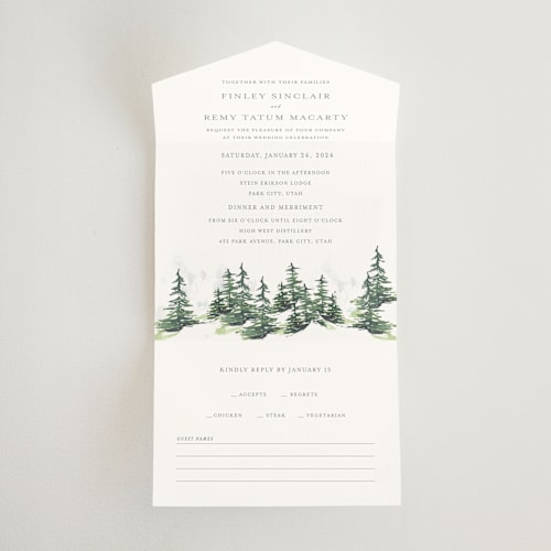 This is a fog all in one wedding invitations with standard by Mere Paper called on the slopes printing on value cover in all-in-one