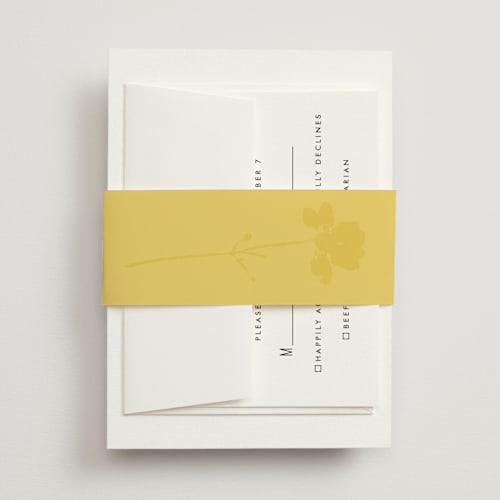 This is a island citrus belly bands with standard by Morgan Kendall called bloom printing on signature text in belly band