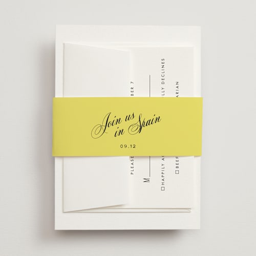 This is a lemon belly bands with standard by Ani Somi called in lights printing on signature text in belly band