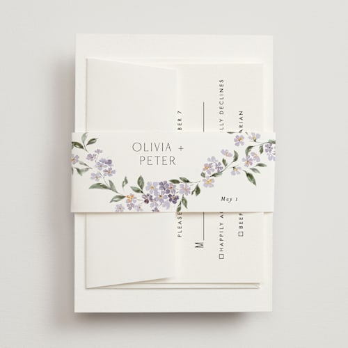 This is a periwinkle belly bands with standard by Itsy Belle Studio called sweeping vine printing on signature text in belly band