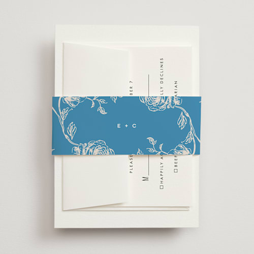 This is a cerulean belly bands with standard by Kristie Kern called the emma printing on signature text in belly band