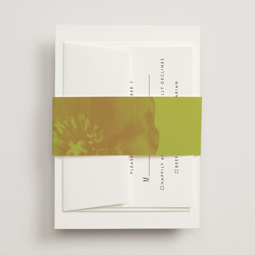 This is a flamingo belly bands with standard by Morgan Kendall called maximalist poppies printing on signature text in belly band