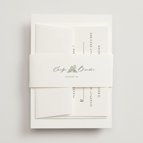 This is a olive belly bands with standard by Sarah Brown called vineyard printing on signature text in belly band