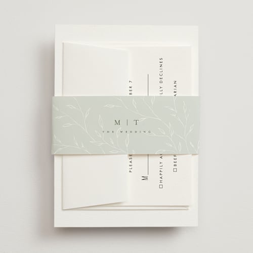 This is a aqua mist belly bands with standard by chocomocacino called tortina printing on signature text in belly band