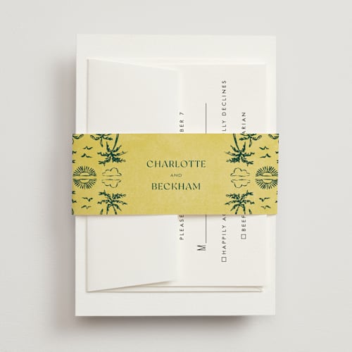 This is a island citrus belly bands with standard by Pixel and Hank called coastal drift printing on signature text in belly band
