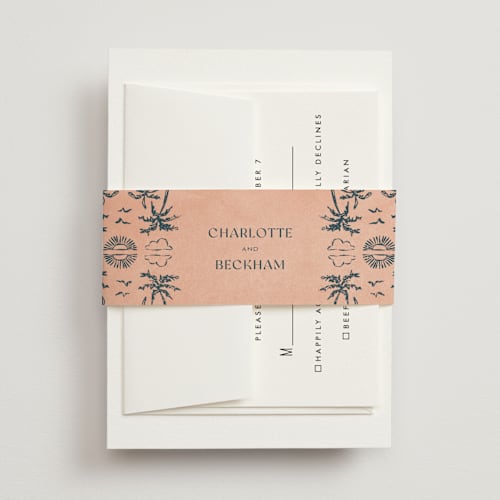 This is a grapefruit belly bands with standard by Pixel and Hank called coastal drift printing on signature text in belly band