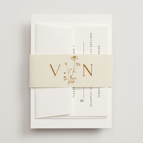 This is a cream belly bands with standard by Baumbirdy called floral type arch printing on signature text in belly band