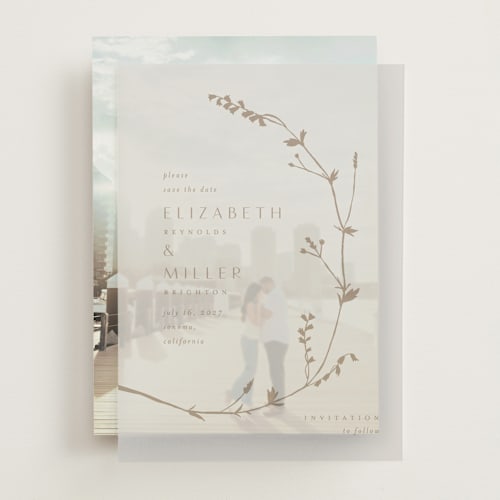 This is a cotton vellum overlays with standard by Amy Kross called vine wrap printing on translucent vellum in overlay