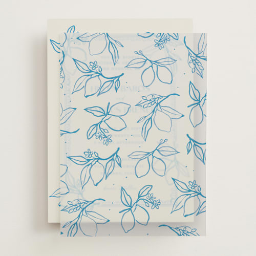 This is a ocean vellum overlays with standard by Pati Cascino called mediterraneo printing on translucent vellum in overlay