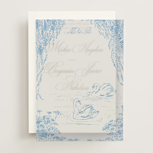This is a bluebell vellum overlays with standard by Pati Cascino called sweet swan printing on translucent vellum in overlay