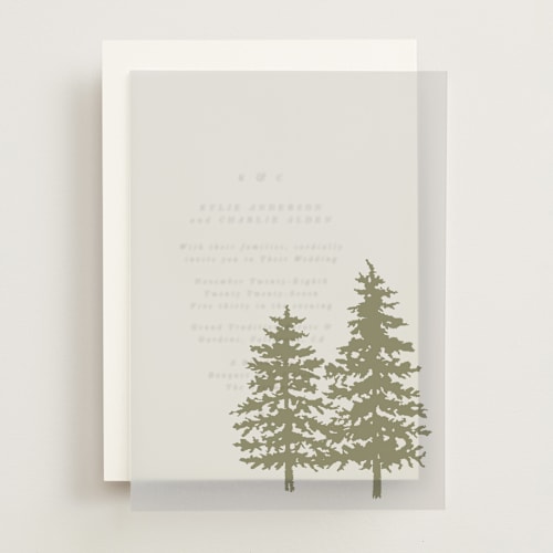 This is a verde vellum overlays with standard by Itsy Belle Studio called evergreens printing on translucent vellum in overlay