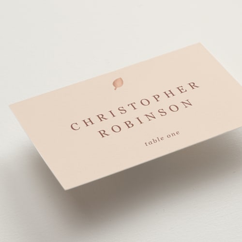 This is a champagne wedding place cards with foil pressed by Sierra Lee called noted printing on signature in placecard