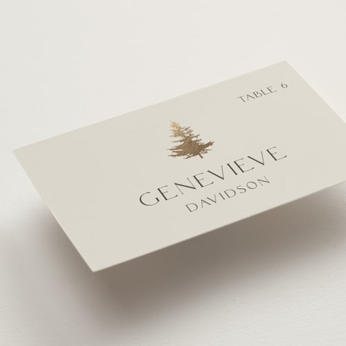 This is a fallen snow wedding place cards with foil pressed by Robin Ott called vista printing on signature in placecard