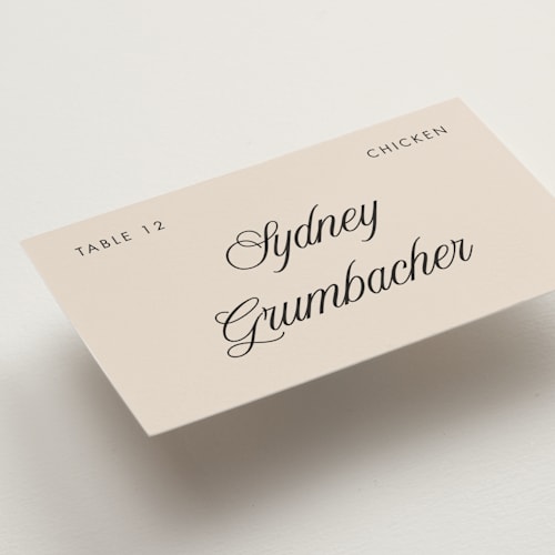 This is a ecru wedding place cards with standard by Morgan Kendall called santorini printing on signature in placecard