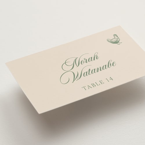 This is a spruce wedding place cards with standard by Ashley Nicole called preppy stripes printing on signature in placecard