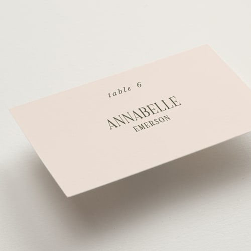 This is a blush wedding place cards with standard by Pati Cascino called fero printing on signature in placecard
