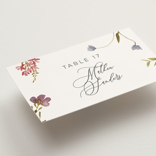 This is a sherbert wedding place cards with standard by Erin Hodges called untied printing on signature in placecard